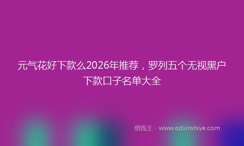 元气花好下款么2026年推荐，罗列五个无视黑户下款口子名单大全