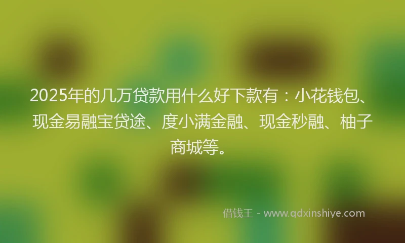 2025年的几万贷款用什么好下款有：小花钱包、现金易融宝贷途、度小满金融、现金秒融、柚子商城等。