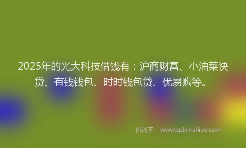 2025年的光大科技借钱有：沪商财富、小油菜快贷、有钱钱包、时时钱包贷、优易购等。