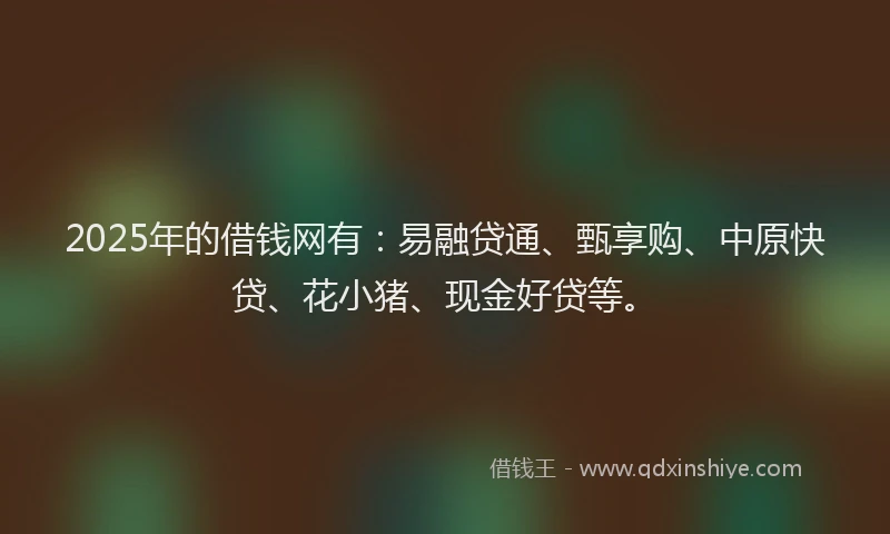 2025年的借钱网有：易融贷通、甄享购、中原快贷、花小猪、现金好贷等。