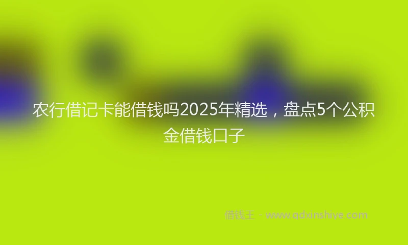 农行借记卡能借钱吗2025年精选，盘点5个公积金借钱口子