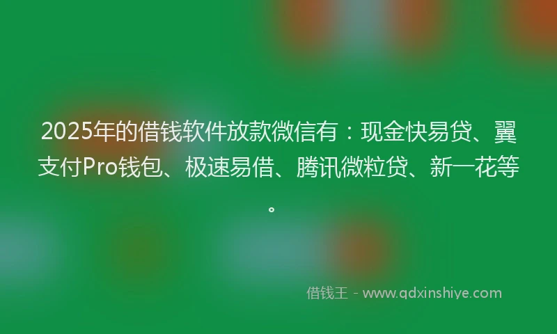 2025年的借钱软件放款微信有:现金快易贷、翼支付Pro钱包、极速易借、腾讯微粒贷、新一花等。