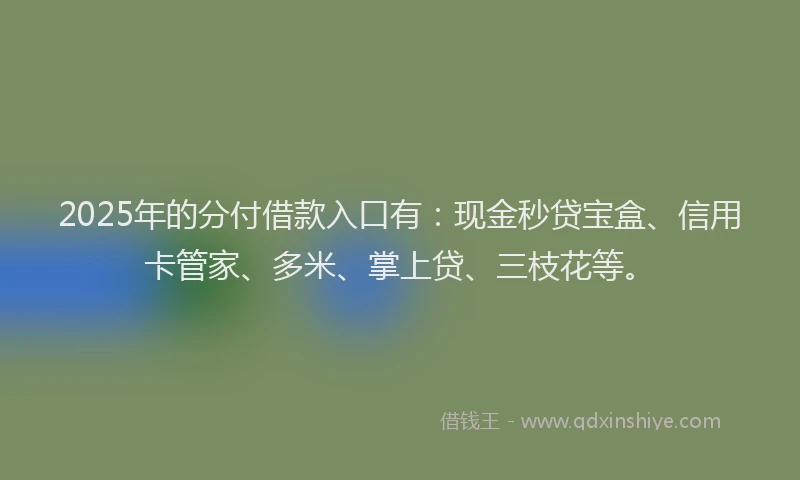 2025年的分付借款入口有：现金秒贷宝盒、信用卡管家、多米、掌上贷、三枝花等。