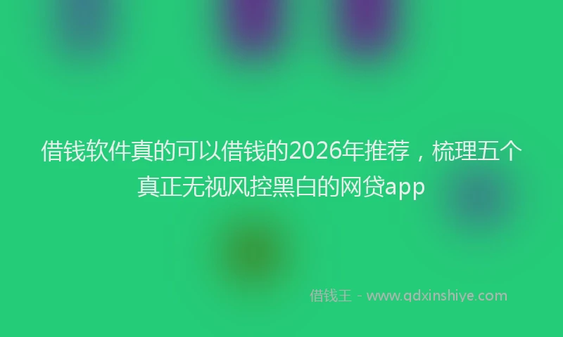 借钱软件真的可以借钱的2026年推荐，梳理五个真正无视风控黑白的网贷app
