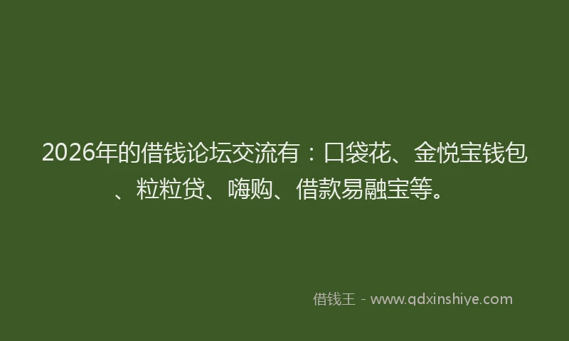 2026年的借钱论坛交流有：口袋花、金悦宝钱包、粒粒贷、嗨购、借款易融宝等。