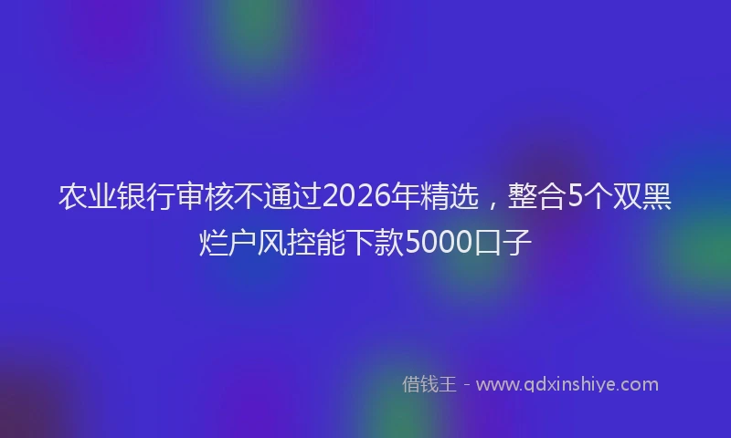 农业银行审核不通过2026年精选，整合5个双黑烂户风控能下款5000口子