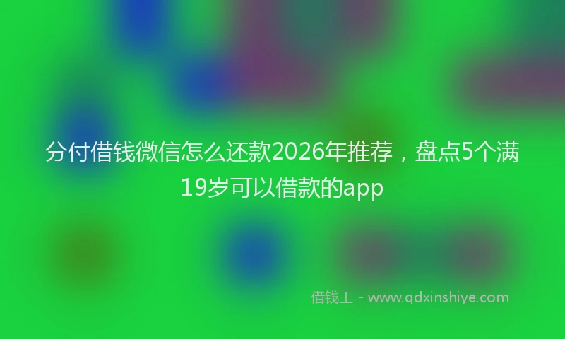 分付借钱微信怎么还款2026年推荐，盘点5个满19岁可以借款的app