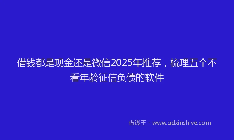 借钱都是现金还是微信2025年推荐，梳理五个不看年龄征信负债的软件