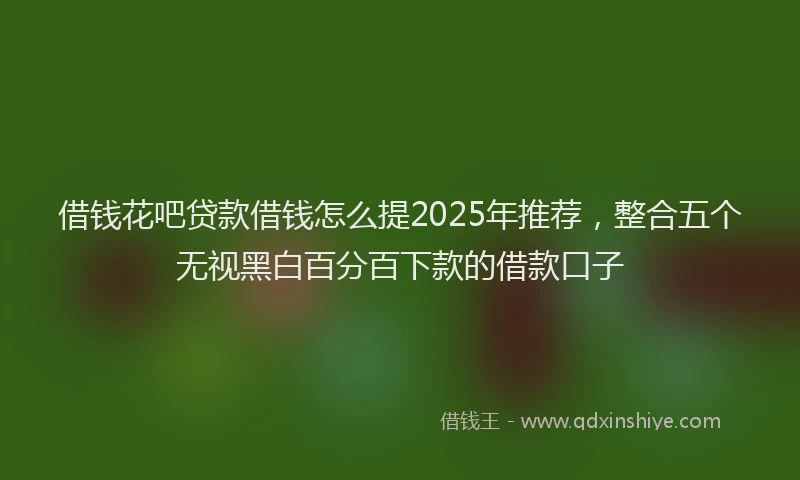 借钱花吧贷款借钱怎么提2025年推荐，整合五个无视黑白百分百下款的借款口子