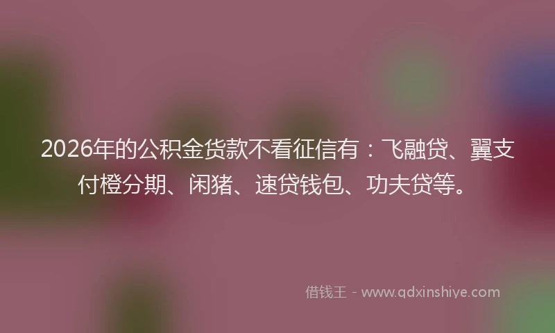 2026年的公积金货款不看征信有：飞融贷、翼支付橙分期、闲猪、速贷钱包、功夫贷等。