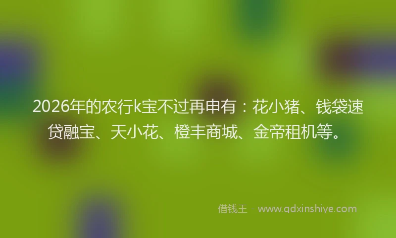 2026年的农行k宝不过再申有：花小猪、钱袋速贷融宝、天小花、橙丰商城、金帝租机等。