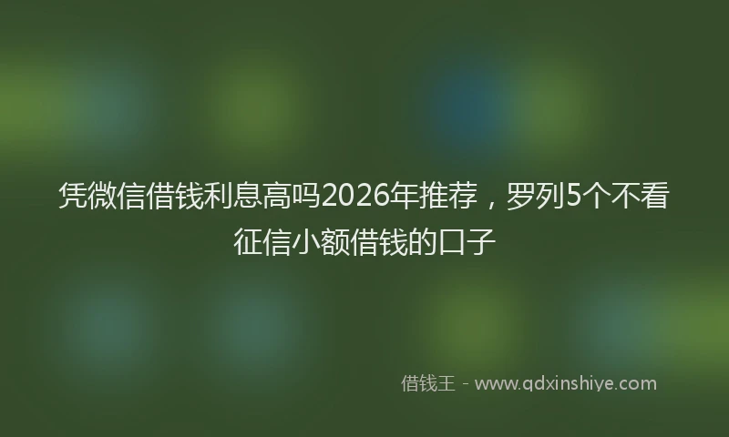 凭微信借钱利息高吗2026年推荐，罗列5个不看征信小额借钱的口子