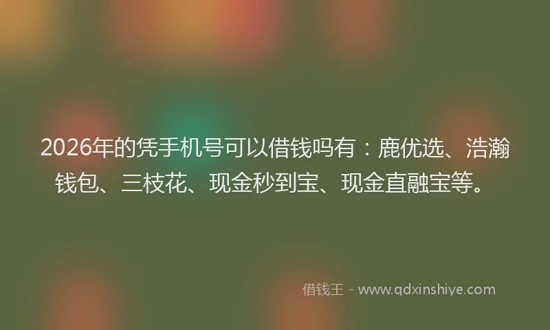 2026年的凭手机号可以借钱吗有：鹿优选、浩瀚钱包、三枝花、现金秒到宝、现金直融宝等。