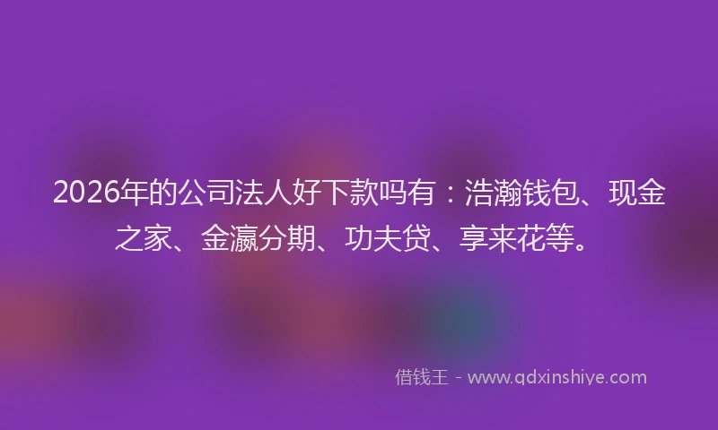 2026年的公司法人好下款吗有:浩瀚钱包、现金之家、金瀛分期、功夫贷、享来花等。