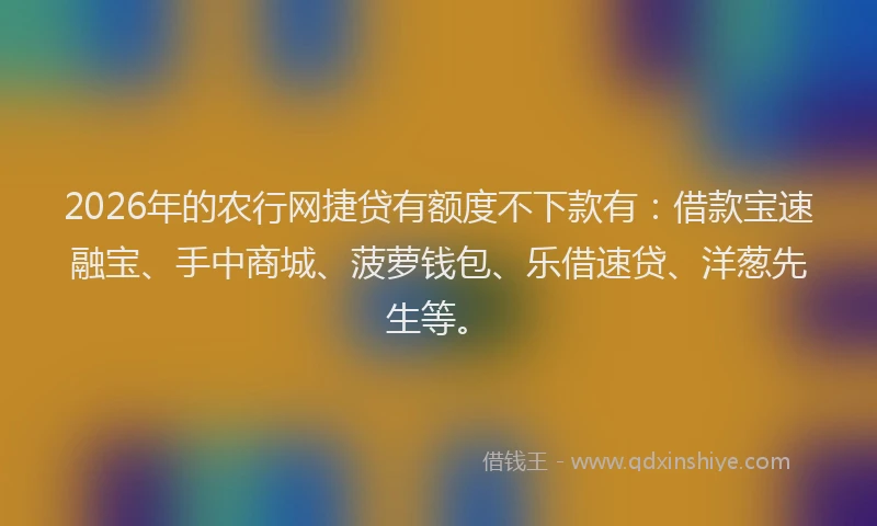 2026年的农行网捷贷有额度不下款有：借款宝速融宝、手中商城、菠萝钱包、乐借速贷、洋葱先生等。