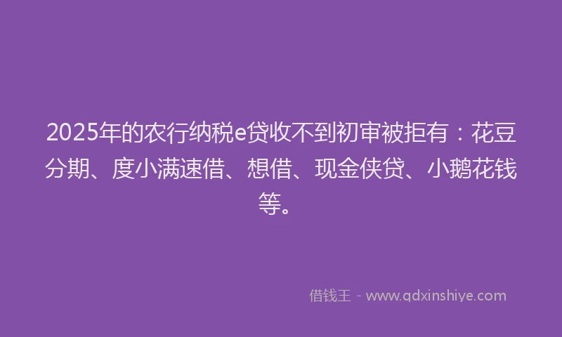 2025年的农行纳税e贷收不到初审被拒有：花豆分期、度小满速借、想借、现金侠贷、小鹅花钱等。