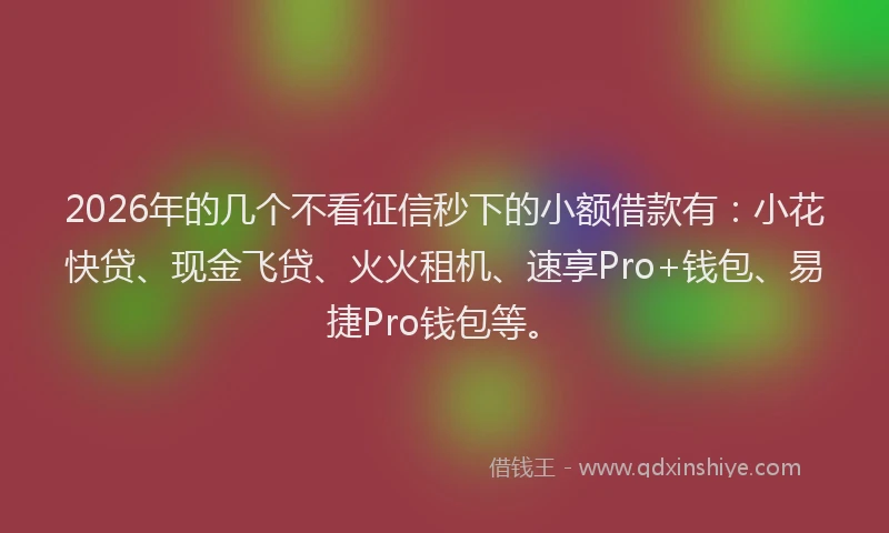 2026年的几个不看征信秒下的小额借款有：小花快贷、现金飞贷、火火租机、速享Pro+钱包、易捷Pro钱包等。