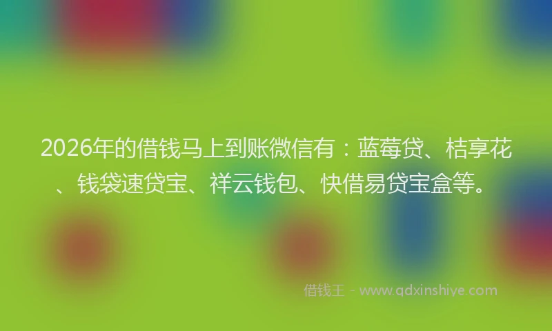 2026年的借钱马上到账微信有：蓝莓贷、桔享花、钱袋速贷宝、祥云钱包、快借易贷宝盒等。