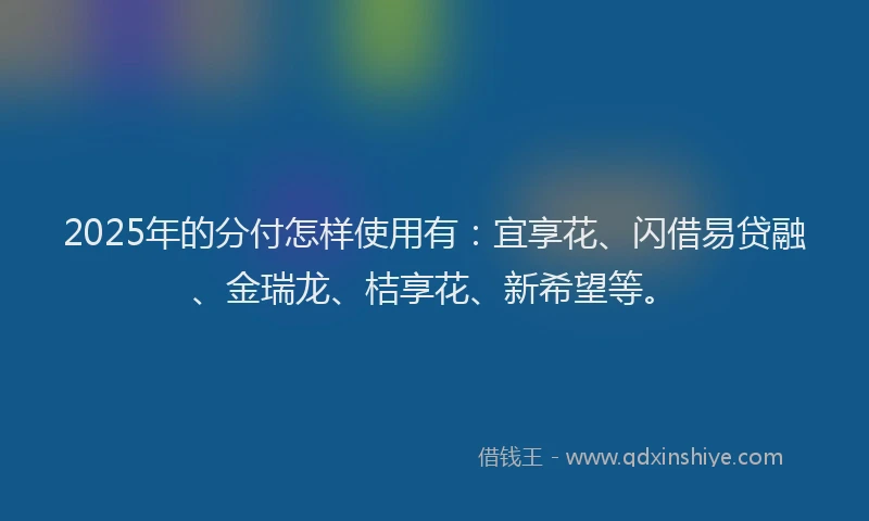 2025年的分付怎样使用有：宜享花、闪借易贷融、金瑞龙、桔享花、新希望等。