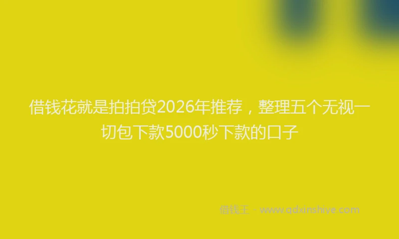 借钱花就是拍拍贷2026年推荐,整理五个无视一切包下款5000秒下款的口子