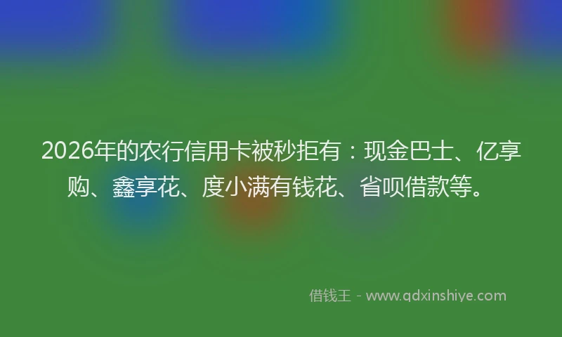 2026年的农行信用卡被秒拒有：现金巴士、亿享购、鑫享花、度小满有钱花、省呗借款等。
