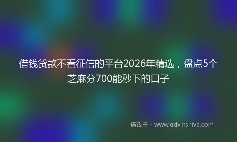 借钱贷款不看征信的平台2026年精选，盘点5个芝麻分700能秒下的口子
