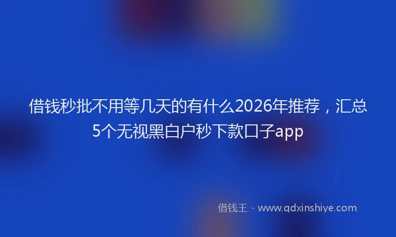借钱秒批不用等几天的有什么2026年推荐，汇总5个无视黑白户秒下款口子app