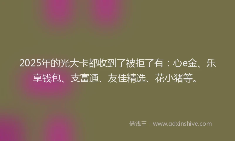 2025年的光大卡都收到了被拒了有:心e金、乐享钱包、支富通、友佳精选、花小猪等。