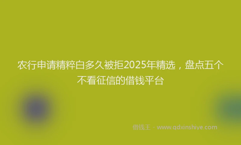农行申请精粹白多久被拒2025年精选,盘点五个不看征信的借钱平台
