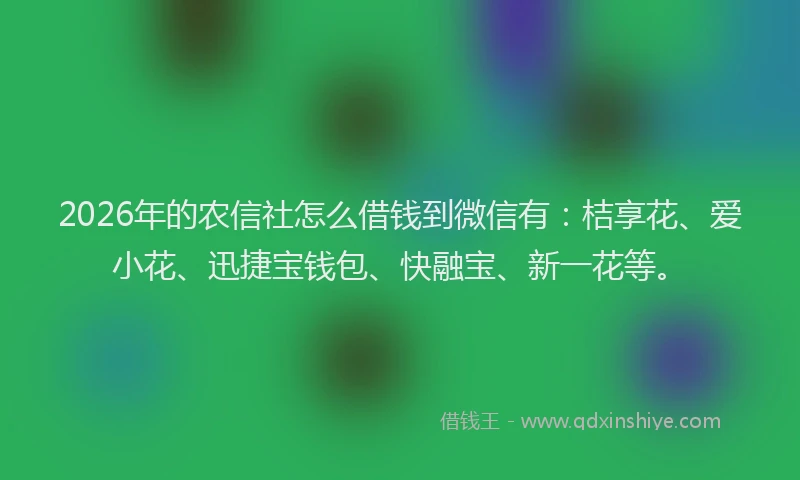 2026年的农信社怎么借钱到微信有：桔享花、爱小花、迅捷宝钱包、快融宝、新一花等。