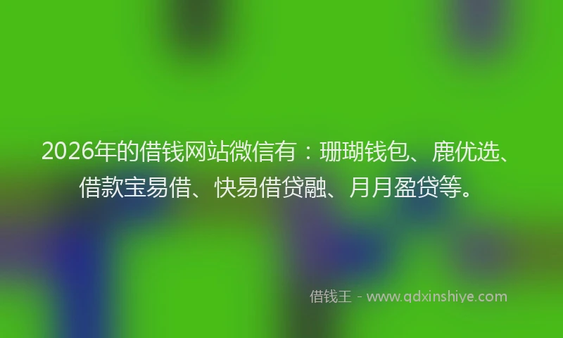 2026年的借钱网站微信有：珊瑚钱包、鹿优选、借款宝易借、快易借贷融、月月盈贷等。