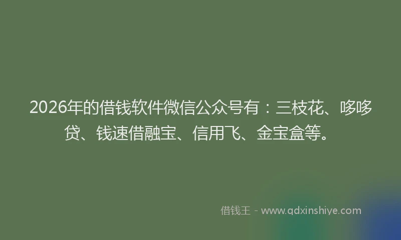 2026年的借钱软件微信公众号有:三枝花、哆哆贷、钱速借融宝、信用飞、金宝盒等。
