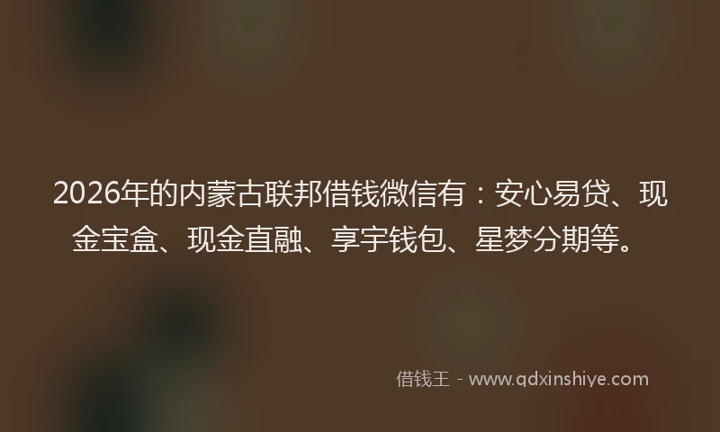 2026年的内蒙古联邦借钱微信有:安心易贷、现金宝盒、现金直融、享宇钱包、星梦分期等。