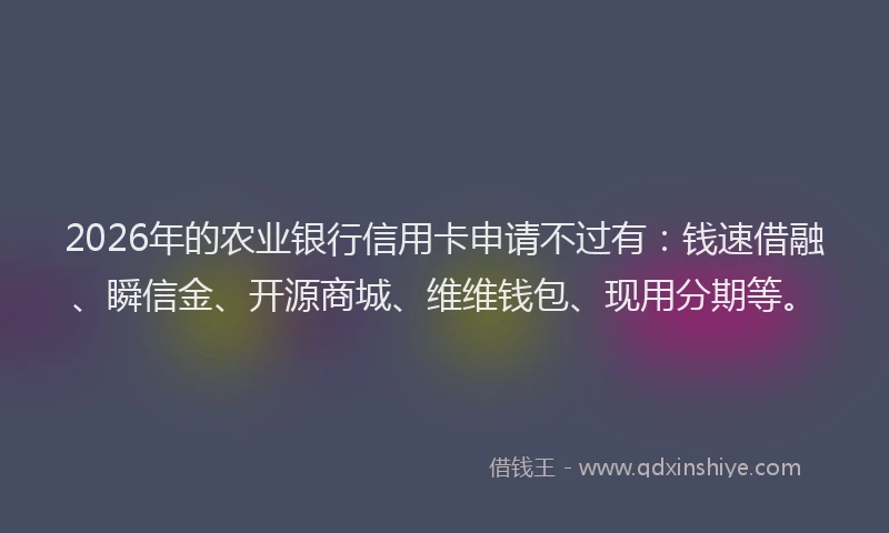 2026年的农业银行信用卡申请不过有:钱速借融、瞬信金、开源商城、维维钱包、现用分期等。