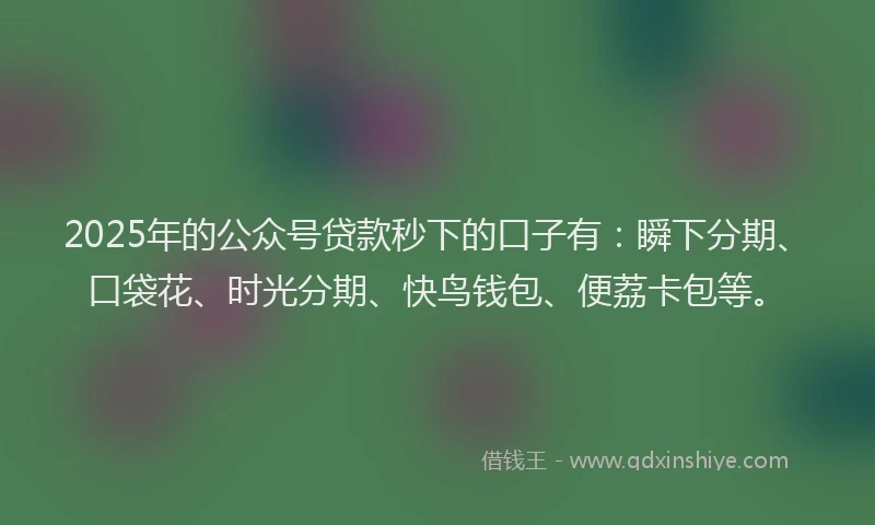 2025年的公众号贷款秒下的口子有：瞬下分期、口袋花、时光分期、快鸟钱包、便荔卡包等。