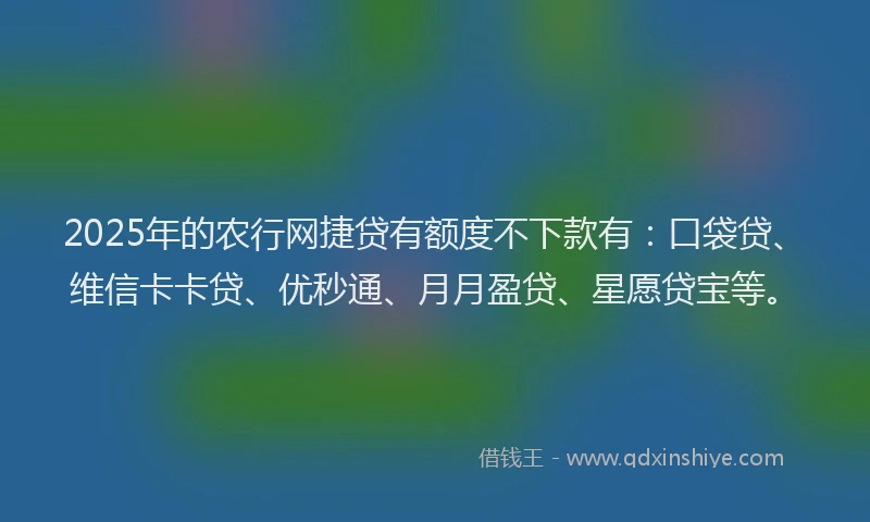2025年的农行网捷贷有额度不下款有：口袋贷、维信卡卡贷、优秒通、月月盈贷、星愿贷宝等。