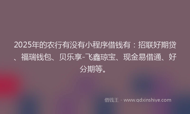 2025年的农行有没有小程序借钱有：招联好期贷、福瑞钱包、贝乐享-飞鑫琼宝、现金易借通、好分期等。