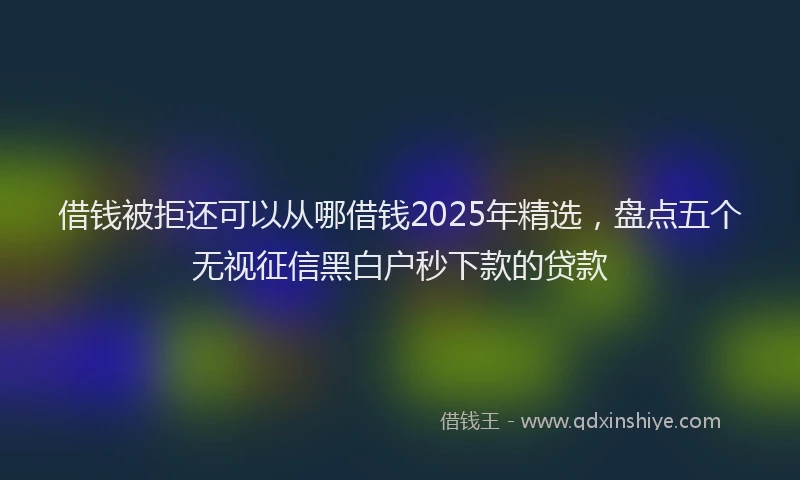 借钱被拒还可以从哪借钱2025年精选，盘点五个无视征信黑白户秒下款的贷款