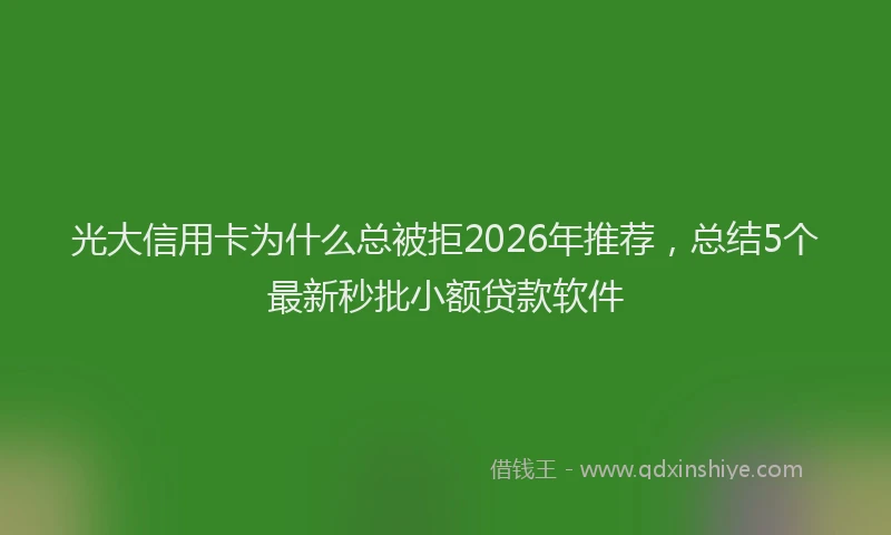 光大信用卡为什么总被拒2026年推荐，总结5个最新秒批小额贷款软件
