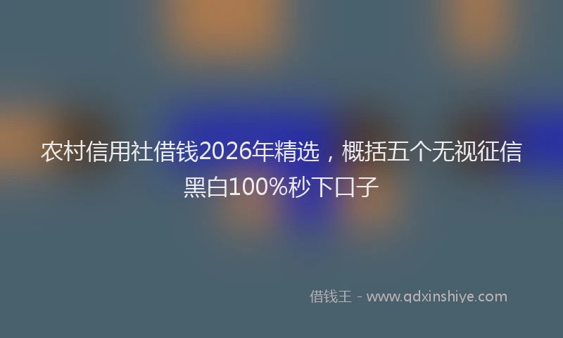 农村信用社借钱2026年精选,概括五个无视征信黑白100%秒下口子