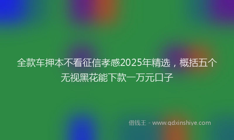 全款车押本不看征信孝感2025年精选，概括五个无视黑花能下款一万元口子