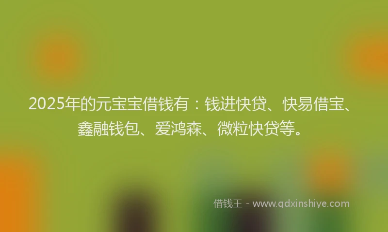 2025年的元宝宝借钱有：钱进快贷、快易借宝、鑫融钱包、爱鸿森、微粒快贷等。
