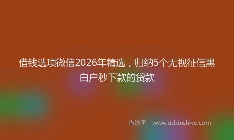 借钱选项微信2026年精选，归纳5个无视征信黑白户秒下款的贷款