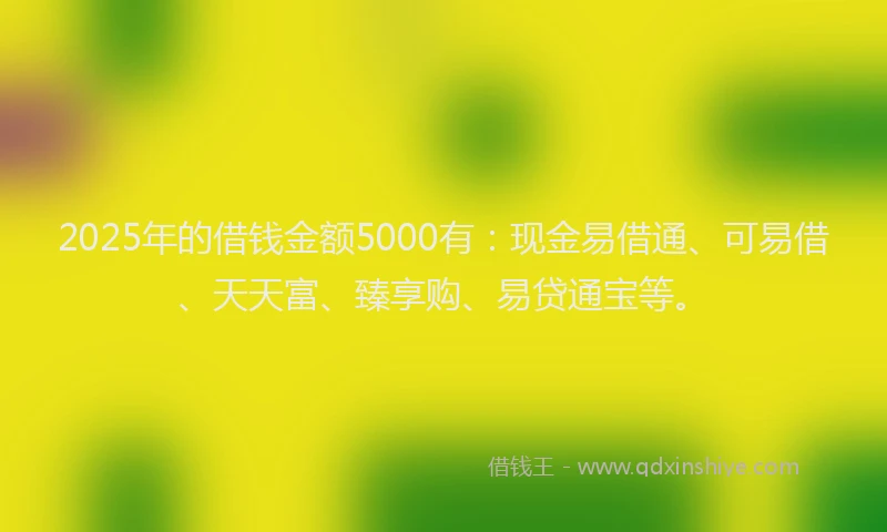 2025年的借钱金额5000有：现金易借通、可易借、天天富、臻享购、易贷通宝等。