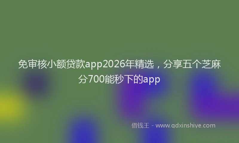 免审核小额贷款app2026年精选，分享五个芝麻分700能秒下的app
