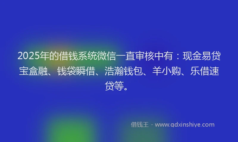 2025年的借钱系统微信一直审核中有：现金易贷宝盒融、钱袋瞬借、浩瀚钱包、羊小购、乐借速贷等。
