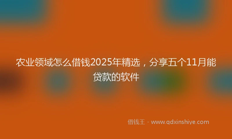 农业领域怎么借钱2025年精选,分享五个11月能贷款的软件
