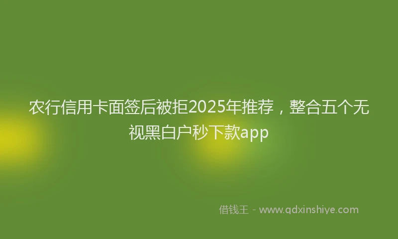 农行信用卡面签后被拒2025年推荐，整合五个无视黑白户秒下款app