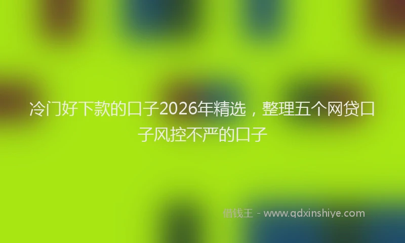 冷门好下款的口子2026年精选，整理五个网贷口子风控不严的口子