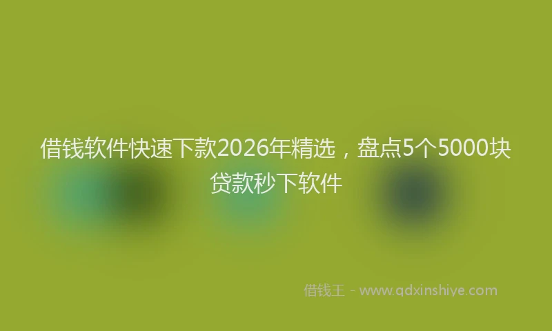 借钱软件快速下款2026年精选,盘点5个5000块贷款秒下软件